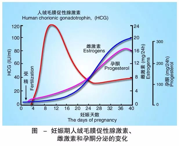 懷孕期間HCG低怎么辦？
